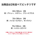 車中泊専用敷ふとん（オレル　マイクロスエード）