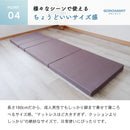 【NEW】旅するゴロンマット