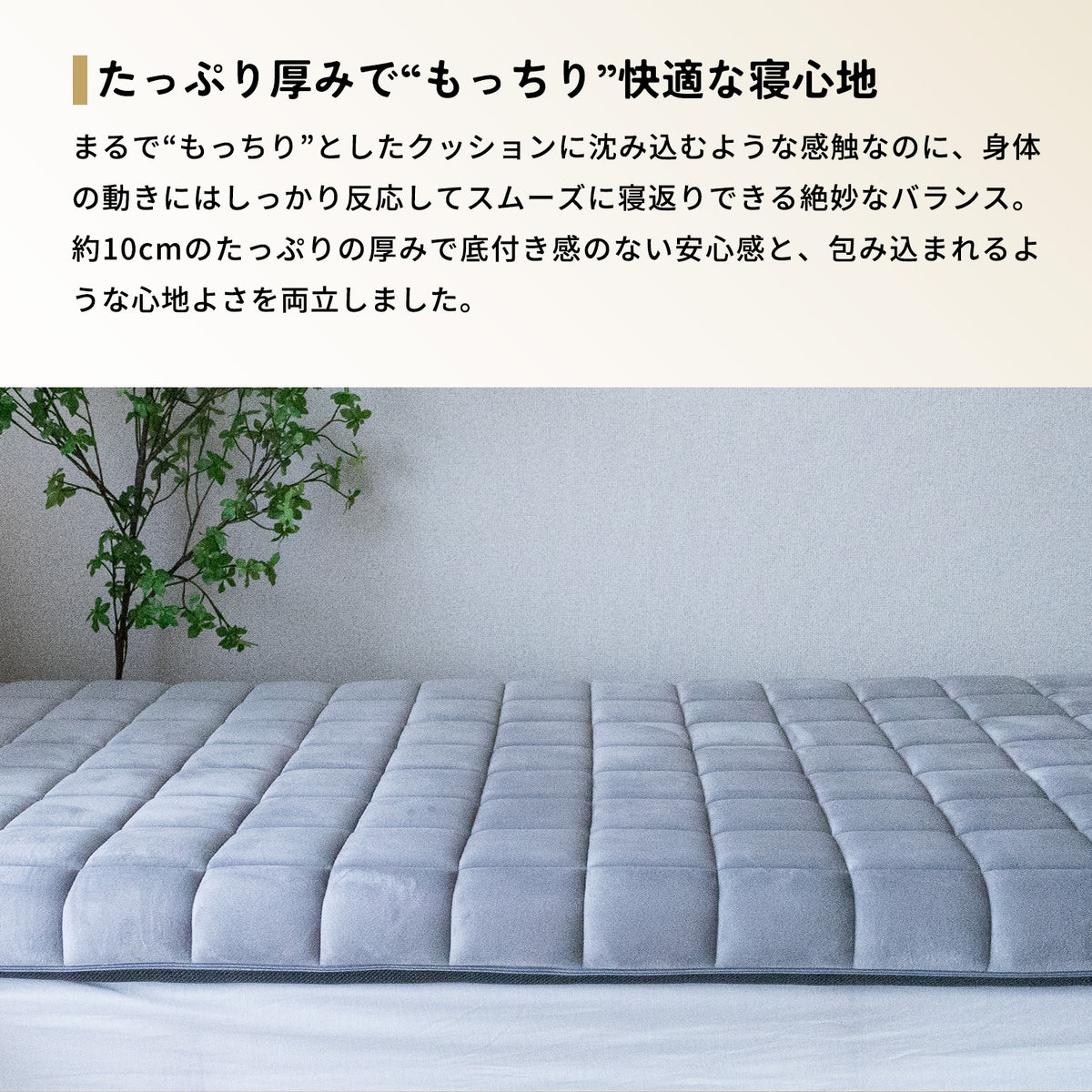 NEW】MOCCHI（もっち）― 至高のマットレス ―